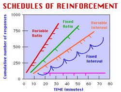 Schedules of Reinforcement - Fitting the Puzzle